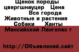 Щенок породы  цвергшнауцер › Цена ­ 30 000 - Все города Животные и растения » Собаки   . Ханты-Мансийский,Лангепас г.